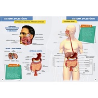Atlas do Corpo Humano: Descubra o Incrível! - imagem 2