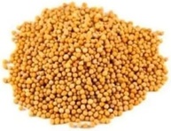 Mostarda - Granel 100g (7, Mostarda em Grão Indiana Amarela) - imagem 1