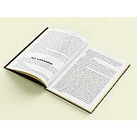Dom Casmurro: Edição de Luxo Inesquecível - imagem 2