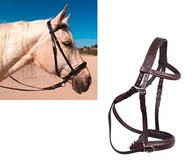 Cabresto Wonder Care Cruzamento de Couro Inglês Genuíno - Conforto e Controle para Seu Cavalo - imagem 5