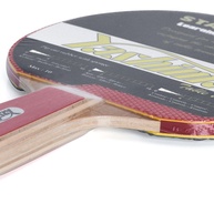 iniciantes-para-ideal-starter-pino-yashima-mesa-de-tenis-raquete
