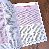 Bíblia da Mulher: Estudo Profundo e Inspirador - imagem 2