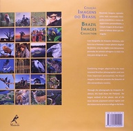 inspiradores-textos-pantanal-a-a-mundo-em-planicie-da-do-maior-e-imagens-alagavel-majestade-a