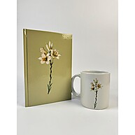 Bíblia NVI Capa Dura + Caneca: Leia e Inspire-se! - imagem 2