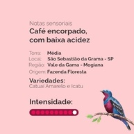 Café Especial Intenso Torrado em grãos - pacote de 1Kg - imagem 3