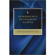 Introdução à Restauração da Alma: Encontre a Cura Interior com David Kornfield - imagem 1