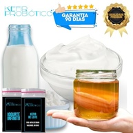Compre Scoby Kombucha + Kefir De Leite Ganhe Iogurte Infinito Cortesia!a - imagem 2