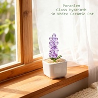 Jacinto de Vidro Decorativo em Vaso de Cerâmica Branco - Ornam. Mesa Moderno 7,6cm - imagem 4