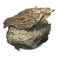 Jalapa 500Gr - imagem 2