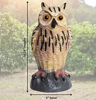 Galashield Chamariz de Coruja para Assustar Pássaros - Estátua Realista para Jardim e Área Externa - imagem 4