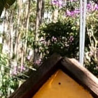 Comedouro de Madeira para Pássaros: Encante seu Jardim! - imagem 2