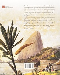 jornada-da-visual-a-rio-fascinante-atraves-arte-de-uma-historia-janeiro-do-a