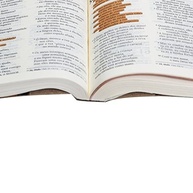 justica-acao-transforme-sagrada-e-biblia-em-sua-pobreza-fe-a