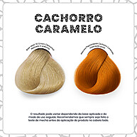 Máscara Pigmentante Kamaleão Color Cachorro Caramelo 150ml - imagem 2