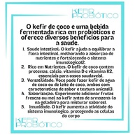 Kit Kefir de Leite de Coco Vivo + Frasco 500ml e Tampa Voal Reutilizável - imagem 4