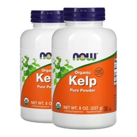 Kelp em Pó Now Foods: Nutrição Marinha Premium - imagem 1