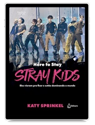 Stray Kids: Here To Stay - O Guia Essencial para Dominar o Mundo do K-Pop - imagem 1