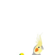Kit 2 Poleiros de Corda para Pássaros 🐦 - imagem 1
