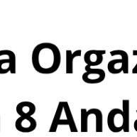 Kit 2 Sapateiras Multiuso 4 Andares – Organize e Decore - imagem 1