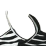 Kit 2 Vestidos Tubinho Canelado: Conforto e Estilo! - imagem 1