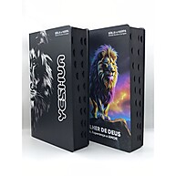 Kit Bíblias Sagradas: Letras Grandes + Harpa - imagem 1