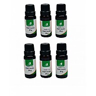 Kit com 6 Essências Perfume Importado 20ml: Crie Seu Aroma Único - imagem 1