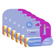Kit com 6 Protetores Labiais Bepantriz Derma 7,5 ml - Hidratação Profunda e Regeneração - imagem 1