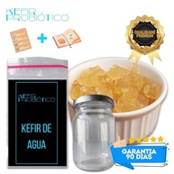 Kit Kefir de Água Vivo Colônia + Manual Completo Compre 2 Ganhe 1! - imagem 4