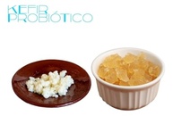 Kit Kefir De Coco + Kefir De Agua Ganhe 2x 500ml + Voal + Peneira Cortesia! - imagem 3