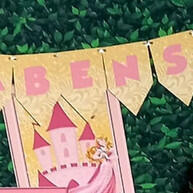 Kit Festa Bela Adormecida: 70 Itens Mágicos! - imagem 1