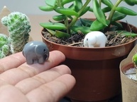 Kit Mini Elefante de Resina Branco e Cinza | Decoração Fofa e Significativa - imagem 4