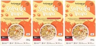 Kit 3X: Sopa da Vovó Sem Glúten Holysoup 130g - imagem 1