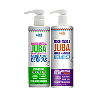 Kit Juba Widi Care: Cachos Definidos e Hidratados - imagem 1