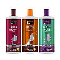 Kit Pentear Cachos BN: Definição e Hidratação! - imagem 1