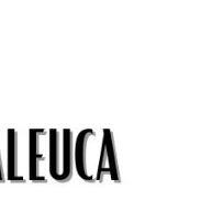 Kit Rosa Mosqueta + Melaleuca: Pele Renovada! - imagem 1