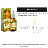 KIT 3X ZINTRIX (Zinco Infantil) 20ml - Flora Nativa Sabor:Morango - imagem 4
