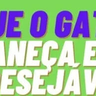 Kit Xixi Pode e Xixi Não Pode: Treine seu Cão com Facilidade - imagem 1
