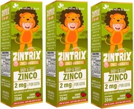 KIT 3X ZINTRIX (Zinco Infantil) 20ml - Flora Nativa Sabor:Morango - imagem 1