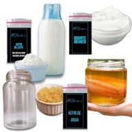 Scoby Kombucha + Kefir De Leite Ganhe Kefir De Água + Iogurte + Vidro 500ml Com Tampa - imagem 1
