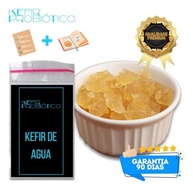 Kit Completo Kombucha 500ml + Kefir de Leite e Água + Iogurte Infinito + Peneira e Tampa! Saúde Natural em Casa! - imagem 5