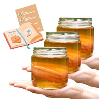 Scoby Kombucha Compre 2 Ganhe 1! - Original Fermentação Natural Chá Vivo Caseiro - imagem 1