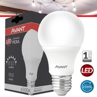 Lâmpada LED Pera: Economia e Luz Fria! - imagem 1