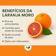 Laranja Moro em Pó 100% Pura 300gr - Origem Verde - imagem 3