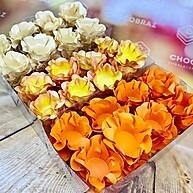 Kit 120 Forminhas para Doces Finais: Pêssego, Amêndoa Queimada e Laranja - imagem 2