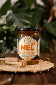 Mel Laranjeira 450g - Empório do Mel - imagem 4