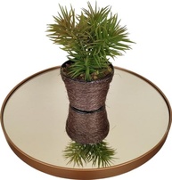 lateral-e-a-dourada-vidro-mesa-elegante-com-resistente-de-tampo-design-a