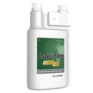 Lavi-fen: Desinfetante Poderoso para Ambientes Seguros - imagem 1