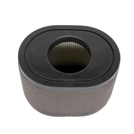 Filtro de Ar Motor Loncin LC2P80F LC2P82F - Peça Original 180100109-0001 - imagem 1