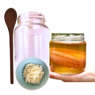 Scoby Kombucha Original Fermentação Caseira + Colher de Pau + Kefir de Leite + Vidro 500ml - imagem 2