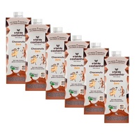 Kit 6X: Leite Vegetal Choconuts Zero Açúcar Orgânico A Tal da Castanha 1L - imagem 1